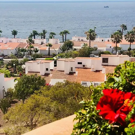 Ferienwohnung Fur 3 Personen Ca 50 Qm In Oasis Del Sur, Teneriffa Sudkuste Von Teneriffa San Miguel de Abona